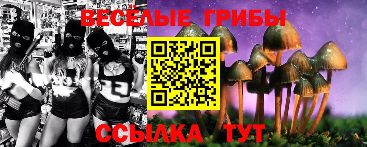 Знаменск  как найти   Псилоцибиновые грибы мицелий  Вход с VPN  Галлюциногенные грибы мухоморы 