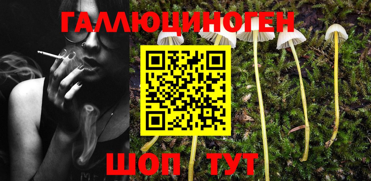 Галлюциногенные грибы MAGIC MUSHROOMS Знаменск